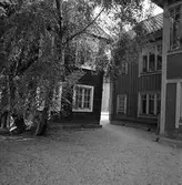 Gårdsmotiv.
Fastigheter, tvåvåningshus, träfasader.
Två gamla hus.