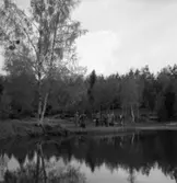 Park-och idrottsstyrelsen alternativt fritidsstyrelsen på inspektionsresa. Här är de vid Landskogsbadet.
Från vänster: Folke Pettersson, Randolf Eimir (ryggen mot fotografen), Harald Larsson (