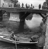 Polisen räddar katten Måns som trillat i ån. Ivan Pettersson sköter årorna i räddningsbåten medan Ragnar Hedin försöker få tag på Måns. En stor publik har samlats på Kapellbron.
Måns tillhör familjen Hallin på Västerlånggatan 3. Det är inte första gången han är ute på äventyr.