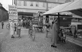 Torghandel med morötter, bär och blommor i stånden. Två kvinnor står och samtalar intill en affisch där Lions påminner om loppisen den 1:a september. En damcykel är parkerad på torget. En lastbil står bakom ett stånd. I bakgrunden ses infarten till Västerlånggatan, Sture-Bio och garnaffären i Lundborgska huset och man anar skylten till Konditori Saga.