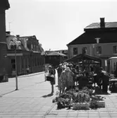 Torghandel. Nanny och Göte Lundin sköter blomsterförsäljningen. Intresserade kunder flockas vid blommorna. Pelargoner står i pappkartonger och buketter i hinkar.
Platsen är Stora Torget, framför Konditori Centrum. Till vänster ligger Rådhuset. Arboga Tidnings kontor, Kapellbron och kvarteret Garvaregården ses i bakgrunden.