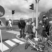 Trafiklekskola med polisman Leif Ekström, i uniform. Barnen får lära sig om trafikregler, trafikskyltar, övergångsställen och trafikljus. Några mammor är också med. I bakgrunden står en kvinna med en hund. Gäddgårdsskolan skymtar.
Bilden är tagen nära Borgmästargatan.