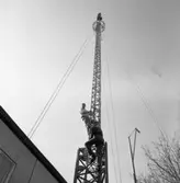 Två unga män klättrar uppför en TV-mast vid Rådhuset.