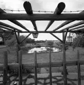 Pergolan och dammen i Vasastan.
Köpingsvägen till vänster i bild. I bakgrunden skymtar tornet på Sankt Nikolai kyrka.