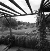 Pergolan och dammen i Vasastan