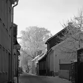 Västerlånggatan i snö