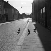 Änder på Storgatan, vid Leverts hörna (korsningen Storgatan - Kapellgatan)
Längre bort på gatan ses en cykel, en man som promenerar samt tre bilar.