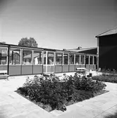 Exteriör från det nya ålderdomshemmet, Strömsborg.
Utegård med plantering.