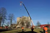 Fällning av den stora gråpoppeln i Bergmanparken. Trädet läggs till marken. Lyftkran och människor i arbete.
I bakgrunden ses Lantmännens silo. Till vänster om den ses korvkiosken 
