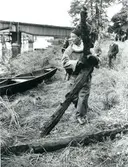 Kung karl, Kungsör, skeppsvrak.