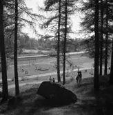 Utsikt från Törnberget. En lekplats med gungor och sandlåda håller många barn sysselsatta. I bakgrunden ses restaurang Vinbäcken och Brunnshuset.