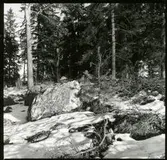 Kung Karl sn, Kungsör.
RAÄ 554/71.