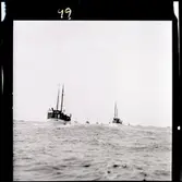 Sillfiskare utanför Åstol 1954