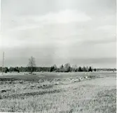 Medåker sn, Eklöt. Tingsplatsen?