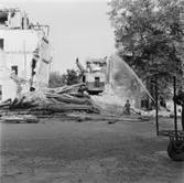 Vänersborgs Högre Allmänna Läroverk rivs