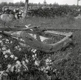 Stenmur vid en äng med en del till en väderkvarn.