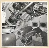 Häckrummet. SB sida sett förifrån.