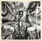 Torpedrum. Förliga ändaskottet mellan torp.tuberna.