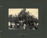 Äppelskörd på Seminariet i Skara