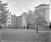 Linnéskolan 1934