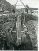 Arbetsbild från utgrävningen av båtfyndet i Gamla hamnen i Västerås, 1935.
