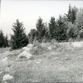 Fornlämning, anläggning nr 84, Rönnby, Västerås.