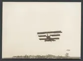 Fokker Dr. I i luften