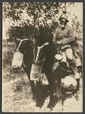 Soldat och hästar med gasmasker