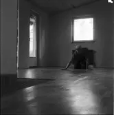 REPOTAGE PÅ GOLVSLIPNING OCH SYNTEKOBEHANDLING (SYNTEKO HÄRDLACK)