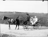 Hästskjuts, Östhammar, Uppland