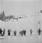 Bilder från Ånnaboda. 
19 januari 1959.