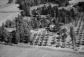 Flygfoto över gård i Kaxholmen i Jönköpings kommun. Nr: 280/1959