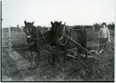 Möklinta sn, Sala.
Man med två hästar som drar årder.