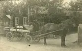 Vykort med motiv av en häst och vagn från Ljungå. Enligt texten på baksidan: Johan Östlund med hästen Frejj.