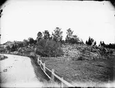 Väg förbi en bergknalle med gärdesgård, Östhammar, Uppland 1902