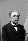 Ateljéporträtt - badläkare Henrik Berg från Stockholm, Uppland