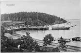 Kolmården järnvägsstation och hamn. Stationshuset ligger utanför bild till vänster. Repro från vykort.