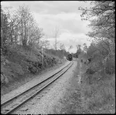 Linjebild från Östra Södermanlands museijärnväg. Ånglok Nättraby-Alnaryd-Elmeboda Järnväg, NAEJ 4 