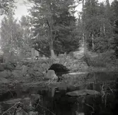 En stenvalvsbro vid Mjösjön, sedd från nya landsvägen.