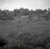 Tegelugn i Grop, Västrums socken, översikt över området.