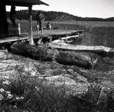 Ekonomibyggnad sjöbod med brygga, okänd ort.