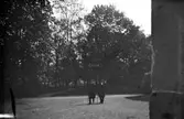 Slottsparken i Västerås, omkring år 1900.