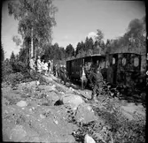 Museijärnvägen Östra Södermanlands Järnväg, ÖSlJ. Resande till ÖSlJ lok 2 