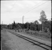 Bredvid spåret ses besökare från Svenska Järnvägsklubben, SJKs höst resa på NKIJ.