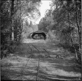 Vy över smalspår med växel.