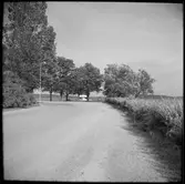 Vid Mälarens strand till vänster i bild skymtar Ångfartyg S/S Mariefred som trafikerade mellan Mariefred-Läggesta.