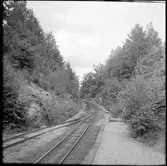 Vy över Museijärnvägen, Östra Södermanlands Järnväg, ÖSlJ järnvägsspår vid Läggesta Östra station.