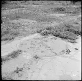 Vändskiva, troligen tillhörande Rute Cement fabrik i Valleviken.