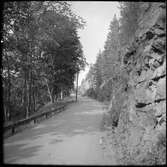 Vistakullevägen längs sträckan där Jönköping - Gripenbergs Järnväg, JGJ gick tidigare.
