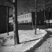 SKOLA
EXT. INT.
